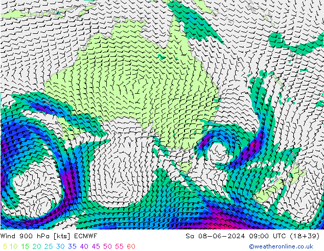 Wind 900 hPa ECMWF Sa 08.06.2024 09 UTC