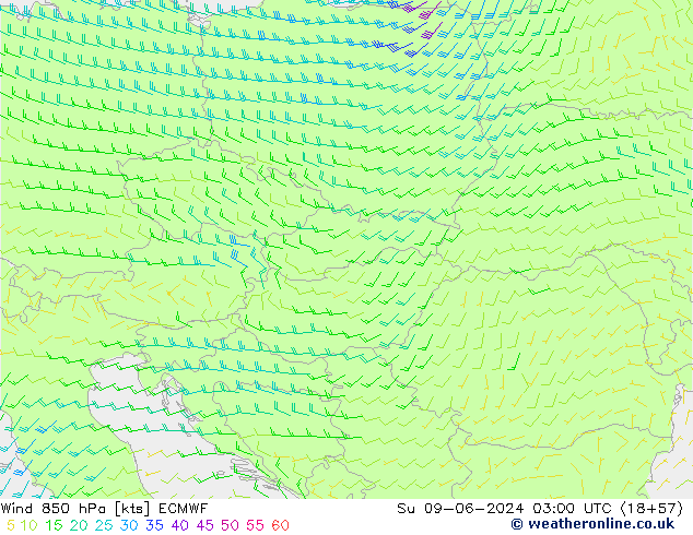 Wind 850 hPa ECMWF Su 09.06.2024 03 UTC