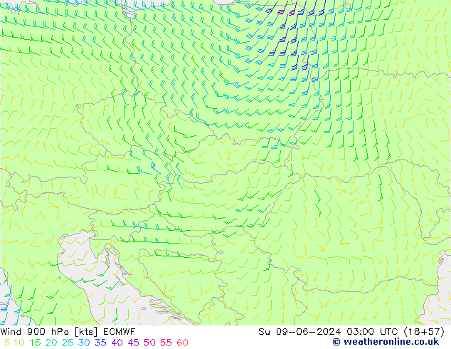 Wind 900 hPa ECMWF Su 09.06.2024 03 UTC