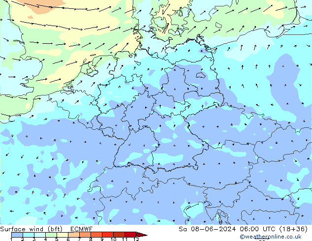 Vent 10 m (bft) ECMWF sam 08.06.2024 06 UTC