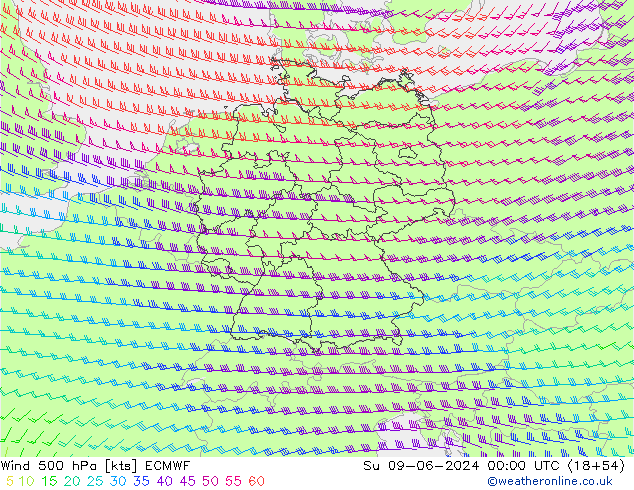 Wind 500 hPa ECMWF So 09.06.2024 00 UTC