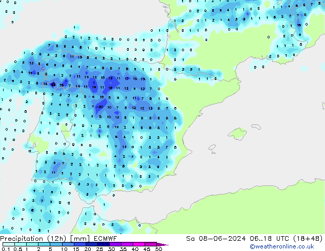 Precipitation (12h) ECMWF Sa 08.06.2024 18 UTC