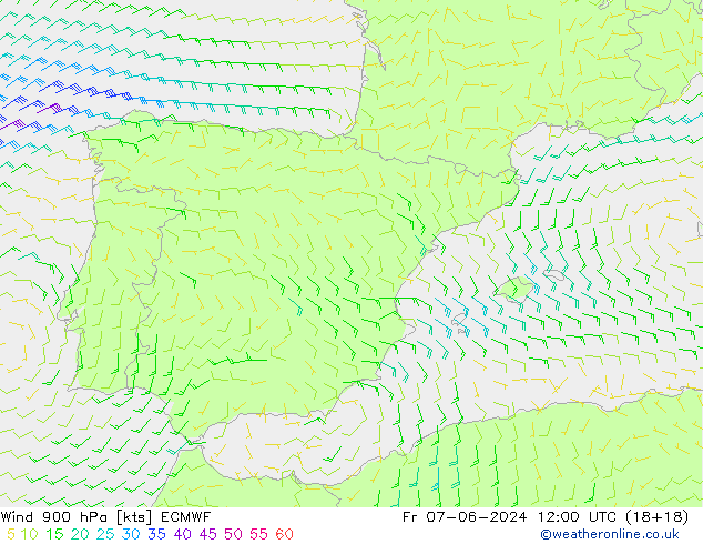   07.06.2024 12 UTC