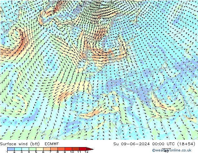 Surface wind (bft) ECMWF Su 09.06.2024 00 UTC