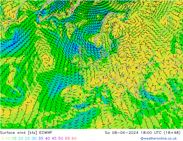 Bodenwind ECMWF Sa 08.06.2024 18 UTC