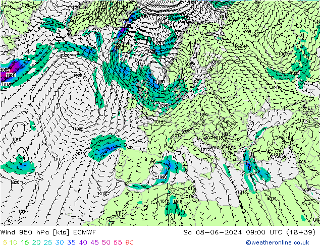 wiatr 950 hPa ECMWF so. 08.06.2024 09 UTC