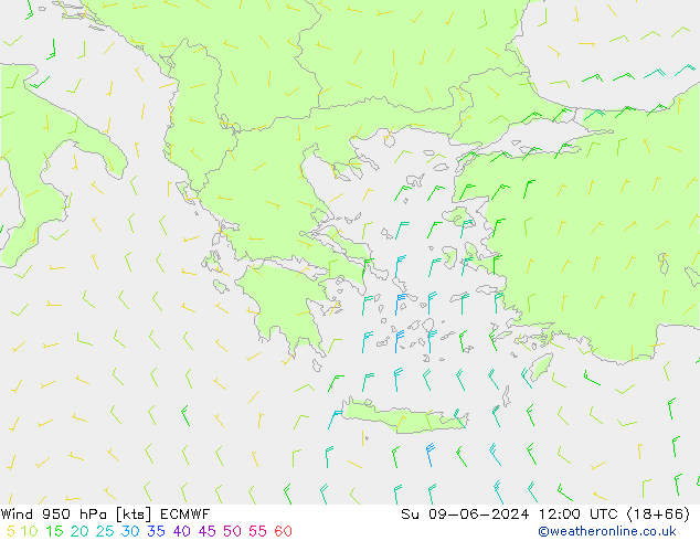 ветер 950 гПа ECMWF Вс 09.06.2024 12 UTC