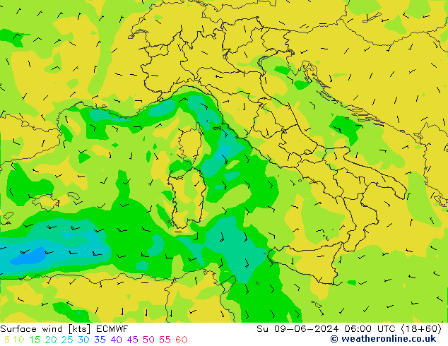 Surface wind ECMWF Su 09.06.2024 06 UTC