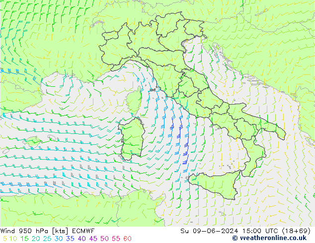 Rüzgar 950 hPa ECMWF Paz 09.06.2024 15 UTC