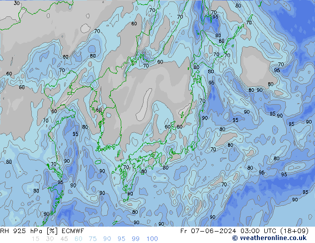 RH 925 гПа ECMWF пт 07.06.2024 03 UTC