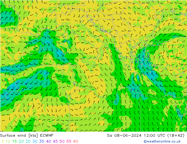 Surface wind ECMWF Sa 08.06.2024 12 UTC