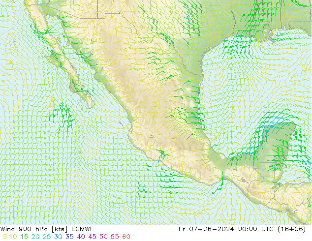 Viento 900 hPa ECMWF vie 07.06.2024 00 UTC