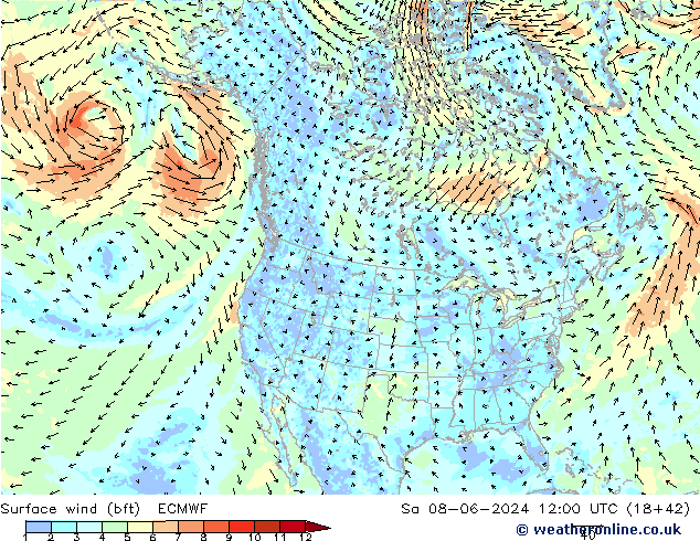 Surface wind (bft) ECMWF Sa 08.06.2024 12 UTC