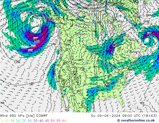 Wind 950 hPa ECMWF zo 09.06.2024 09 UTC