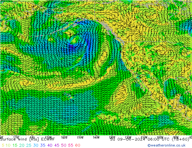 Surface wind ECMWF Su 09.06.2024 06 UTC