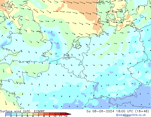  10 m (bft) ECMWF  08.06.2024 18 UTC