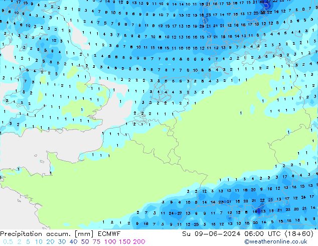 Totale neerslag ECMWF zo 09.06.2024 06 UTC