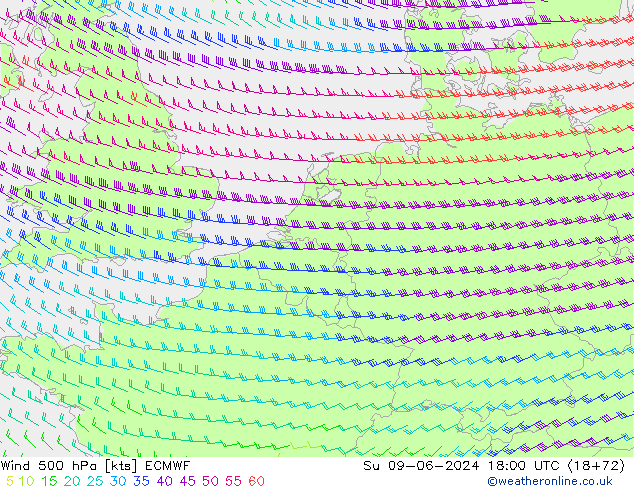 Wind 500 hPa ECMWF zo 09.06.2024 18 UTC