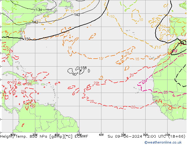 Z500/Rain (+SLP)/Z850 ECMWF Su 09.06.2024 12 UTC