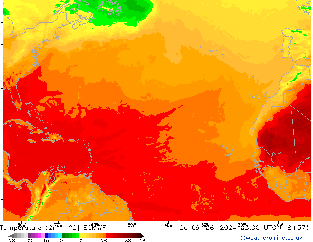 Temperature (2m) ECMWF Ne 09.06.2024 03 UTC