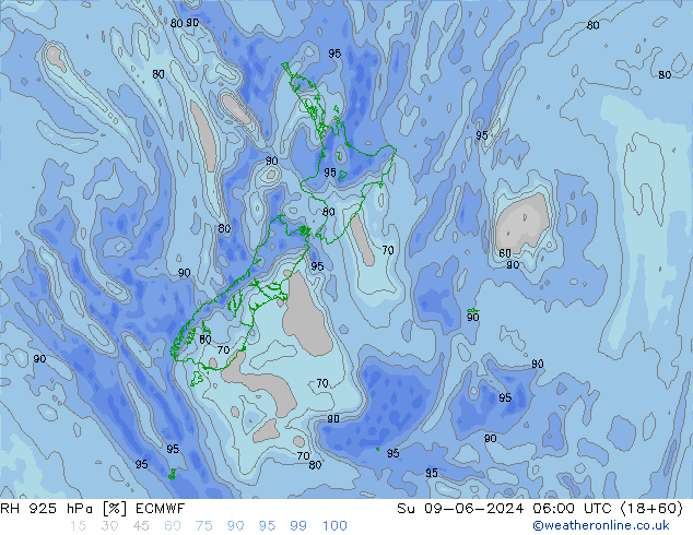 RH 925 hPa ECMWF dom 09.06.2024 06 UTC