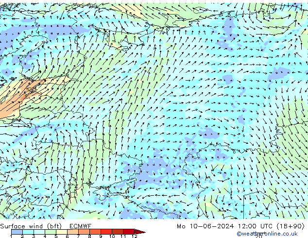  10 m (bft) ECMWF  10.06.2024 12 UTC