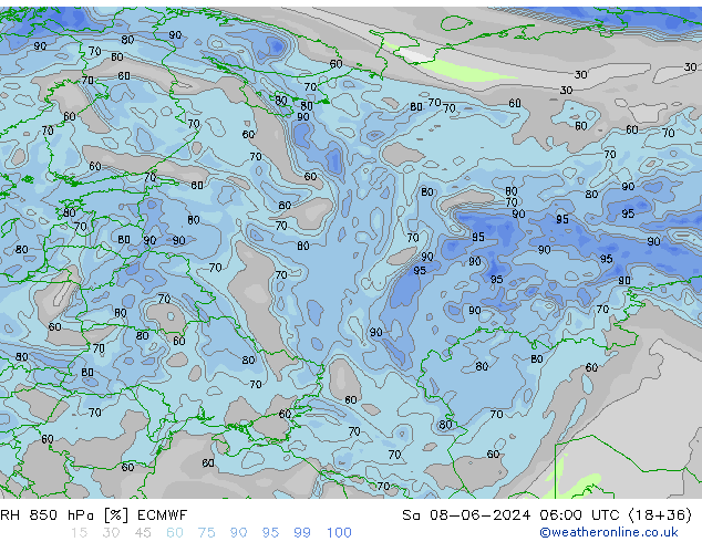 RH 850 гПа ECMWF сб 08.06.2024 06 UTC