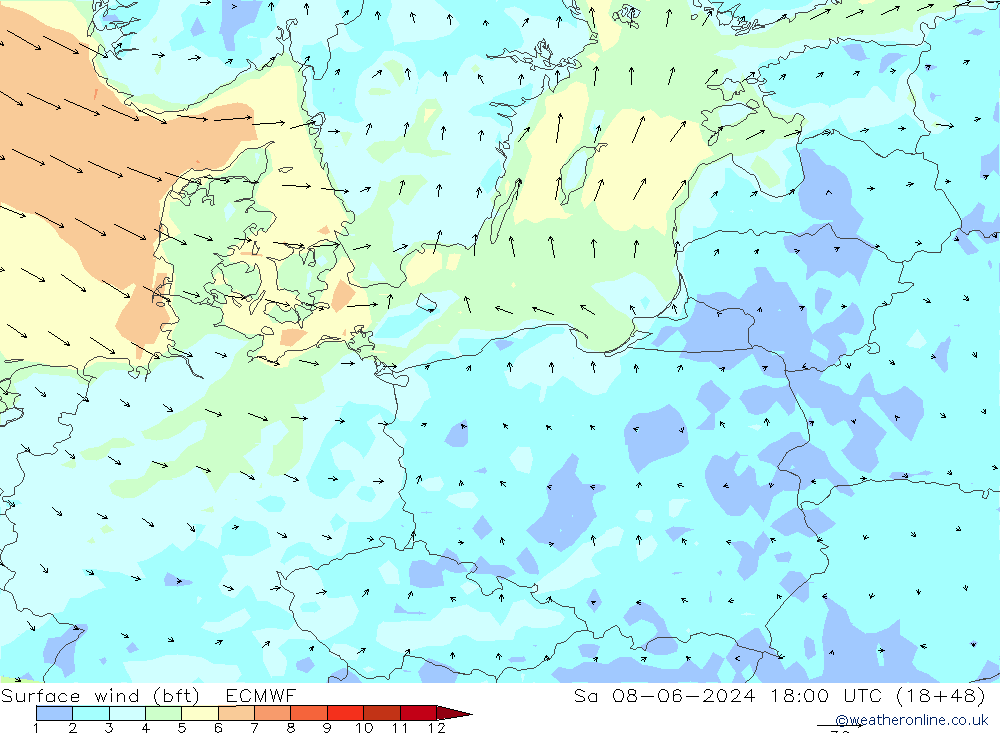 Vent 10 m (bft) ECMWF sam 08.06.2024 18 UTC