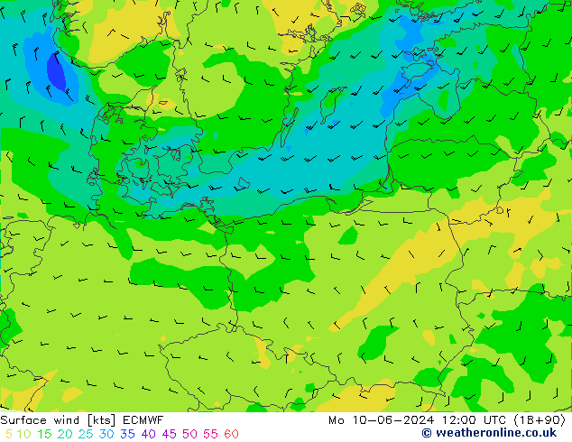 Wind 10 m ECMWF ma 10.06.2024 12 UTC