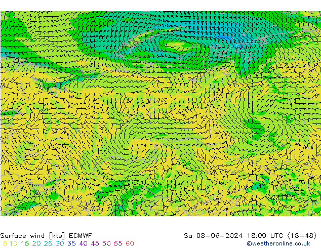 Surface wind ECMWF Sa 08.06.2024 18 UTC