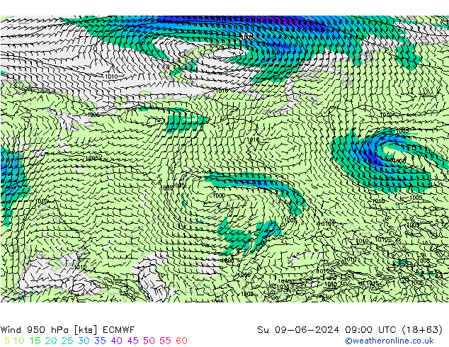 Vento 950 hPa ECMWF Dom 09.06.2024 09 UTC