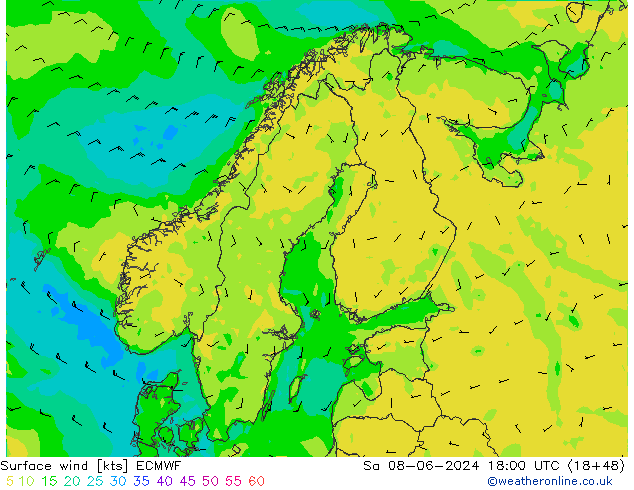 Surface wind ECMWF Sa 08.06.2024 18 UTC