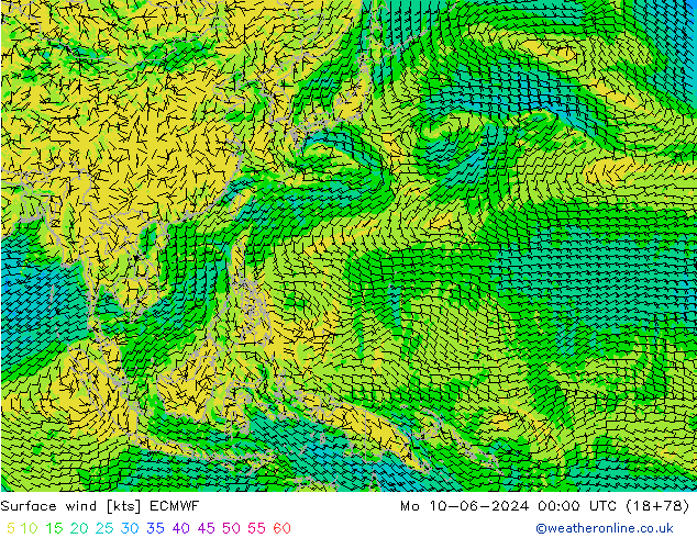 Surface wind ECMWF Mo 10.06.2024 00 UTC