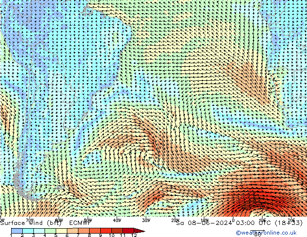 Surface wind (bft) ECMWF Sa 08.06.2024 03 UTC