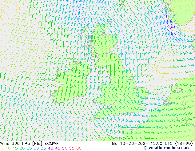 Wind 900 hPa ECMWF Mo 10.06.2024 12 UTC