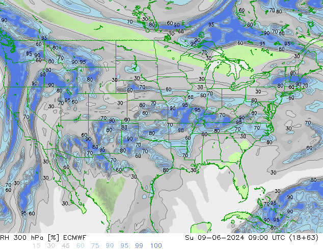 RV 300 hPa ECMWF zo 09.06.2024 09 UTC