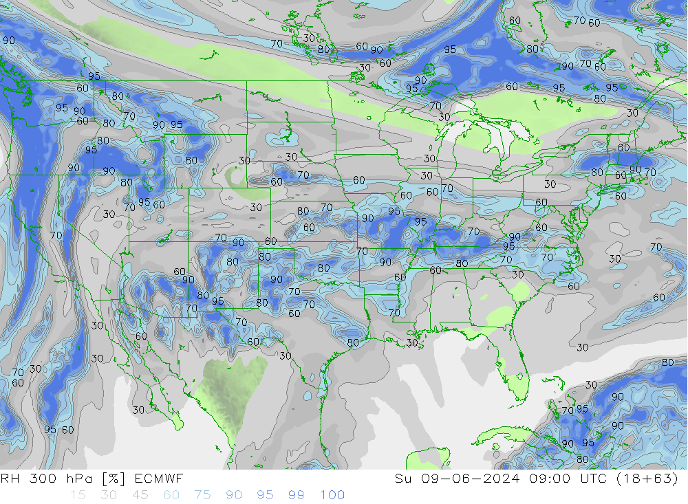 RV 300 hPa ECMWF zo 09.06.2024 09 UTC