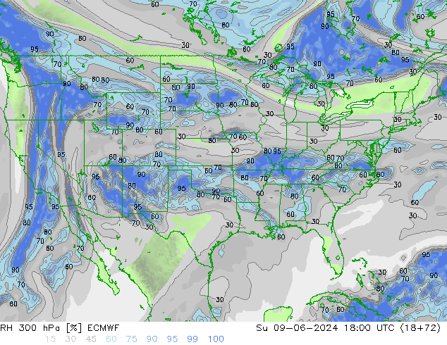 RH 300 гПа ECMWF Вс 09.06.2024 18 UTC