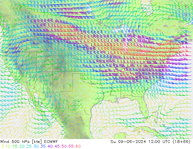 Vento 500 hPa ECMWF Dom 09.06.2024 12 UTC