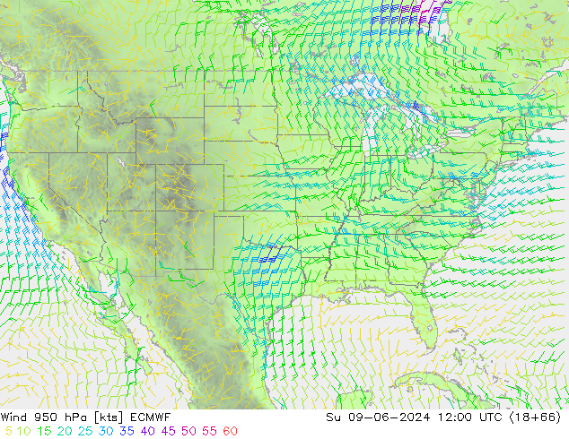 Vento 950 hPa ECMWF Dom 09.06.2024 12 UTC