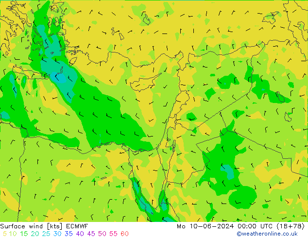  10 m ECMWF  10.06.2024 00 UTC