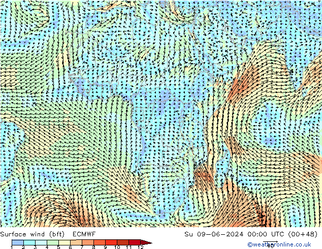 Rüzgar 10 m (bft) ECMWF Paz 09.06.2024 00 UTC