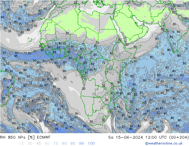 RH 850 гПа ECMWF сб 15.06.2024 12 UTC