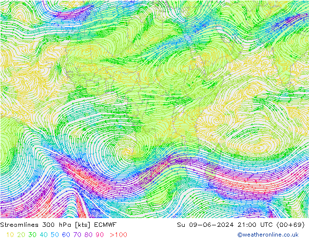 Stroomlijn 300 hPa ECMWF zo 09.06.2024 21 UTC