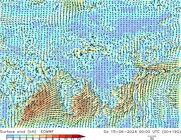 Vento 10 m (bft) ECMWF sab 15.06.2024 00 UTC