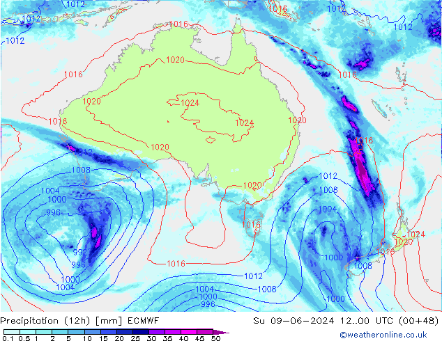 Precipitação (12h) ECMWF Dom 09.06.2024 00 UTC