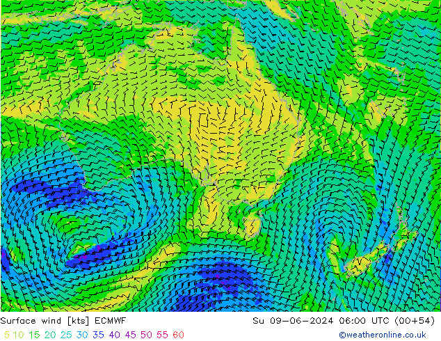 Vento 10 m ECMWF dom 09.06.2024 06 UTC