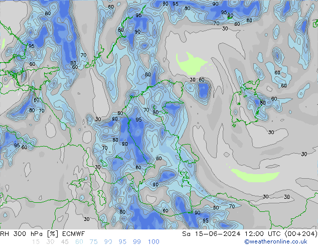 RH 300 hPa ECMWF  15.06.2024 12 UTC