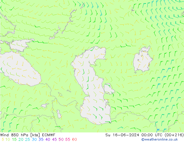 Viento 850 hPa ECMWF dom 16.06.2024 00 UTC