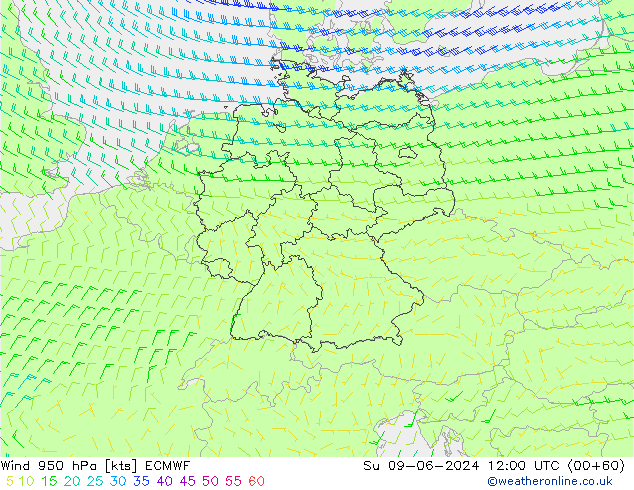 Vento 950 hPa ECMWF Dom 09.06.2024 12 UTC